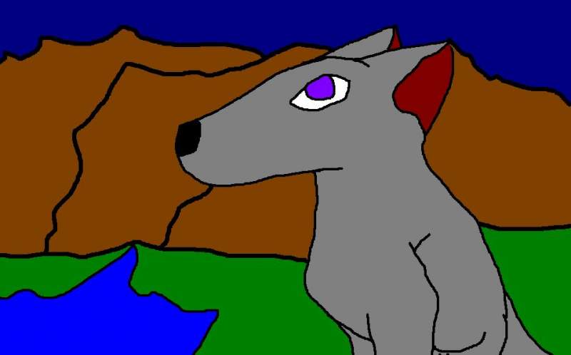 wolf by mountains