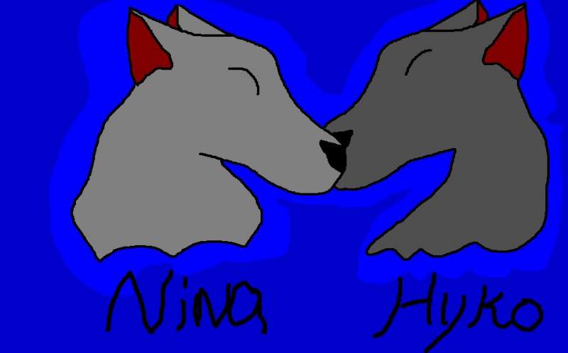 nina and hyko