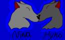 nina and hyko