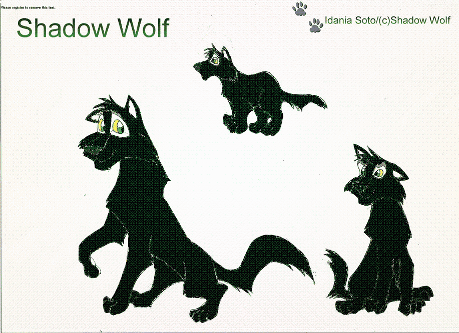 Shadow, my wolf character.