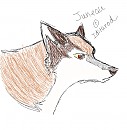 Juneau
