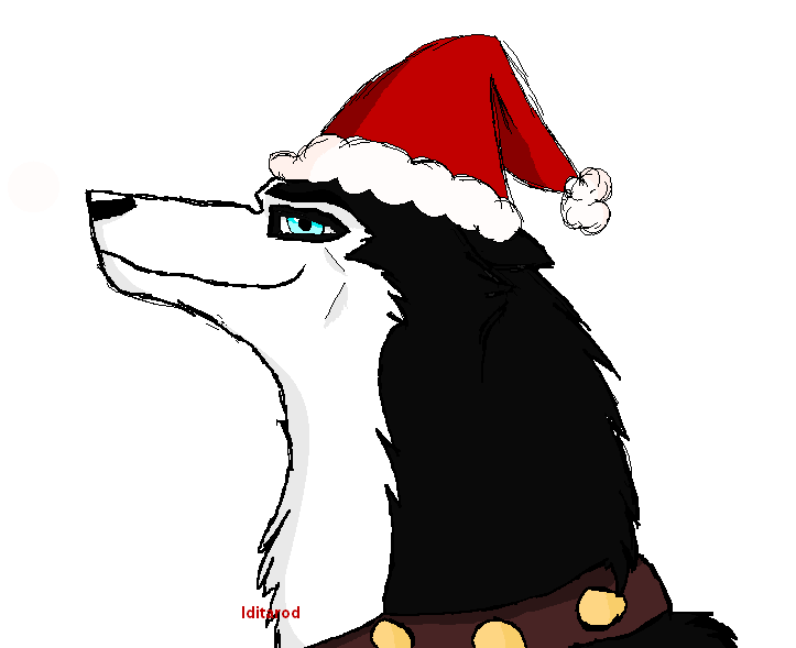 Christmas Steele