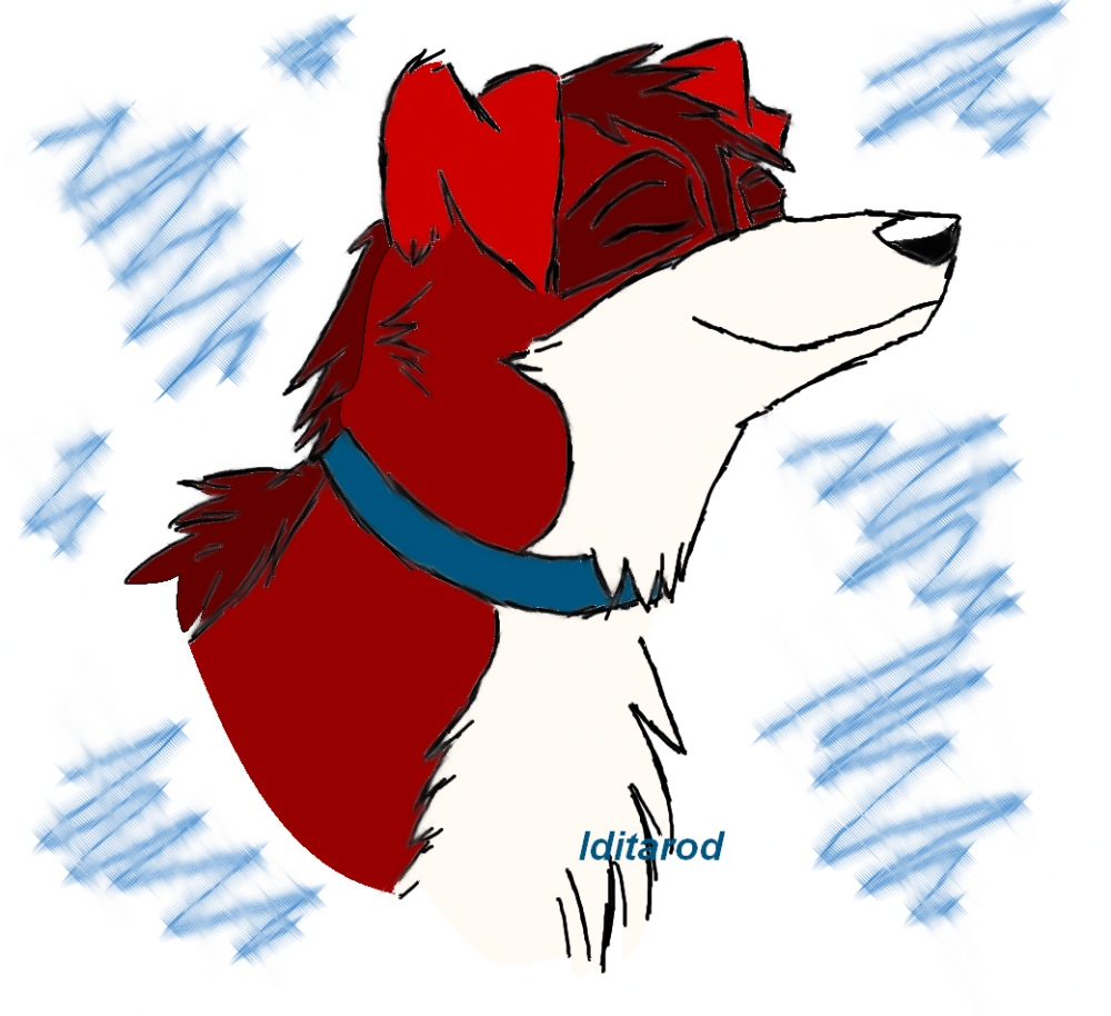 Colored Saimar