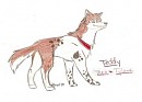 Teddy