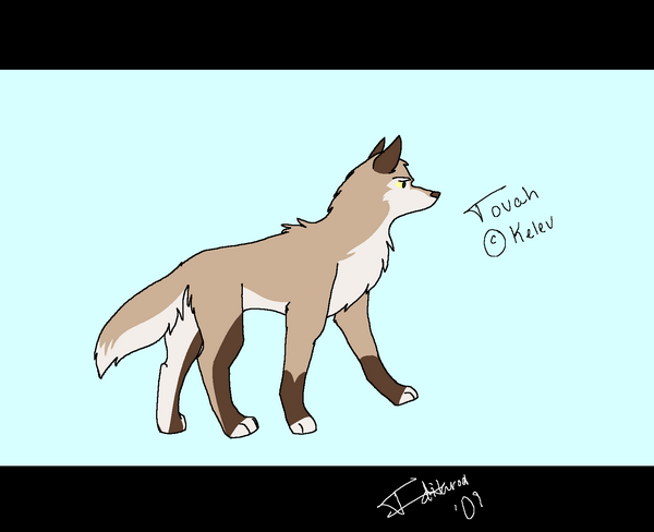 Gift for Kelev