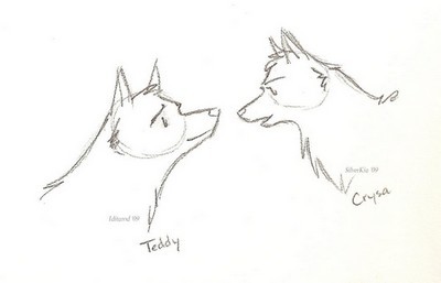 Teddy & Crysa