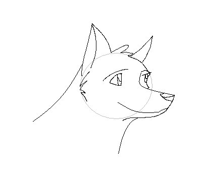 My First Animation
