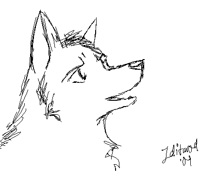 Animation frame