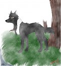 New Character