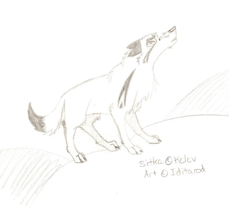 Sitka