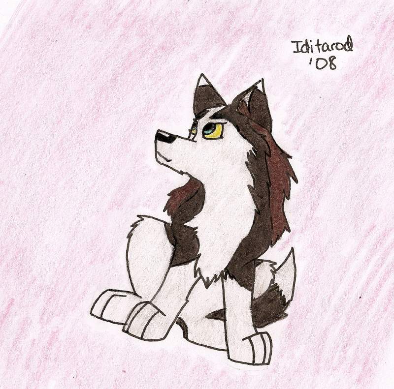 Thace as a puppy