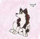Thace as a puppy