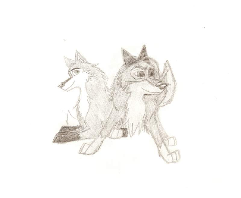 Sketch