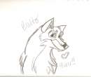 Balto Luv