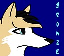 Just Bronze