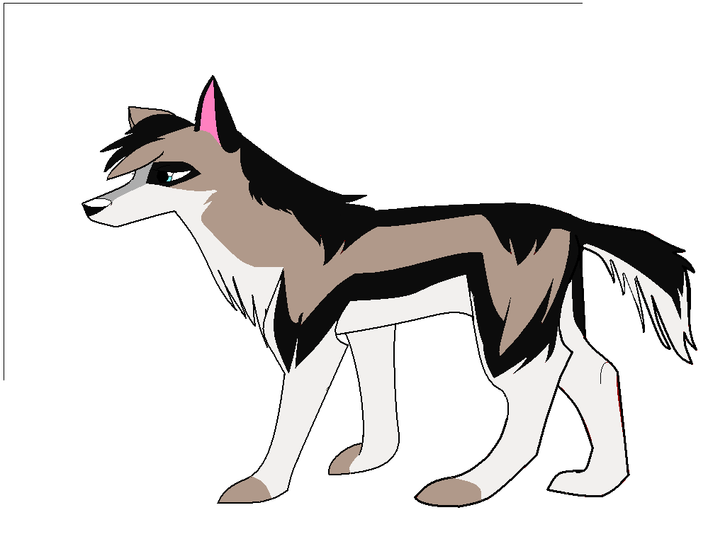 Bronze & Misty's pup