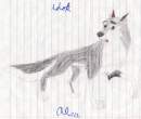 Aleu