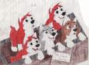 Puppies