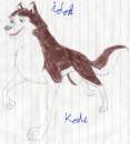 Kodi