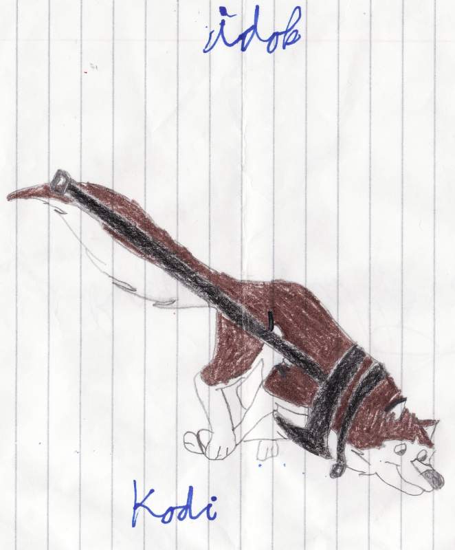 Kodi