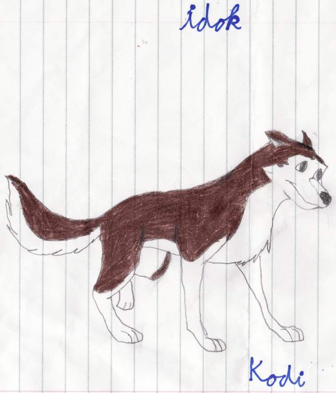 Kodi