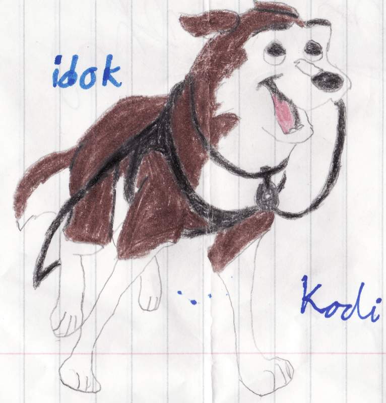 Kodi