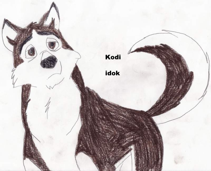 Kodi