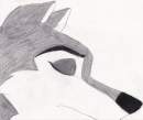 Dusty