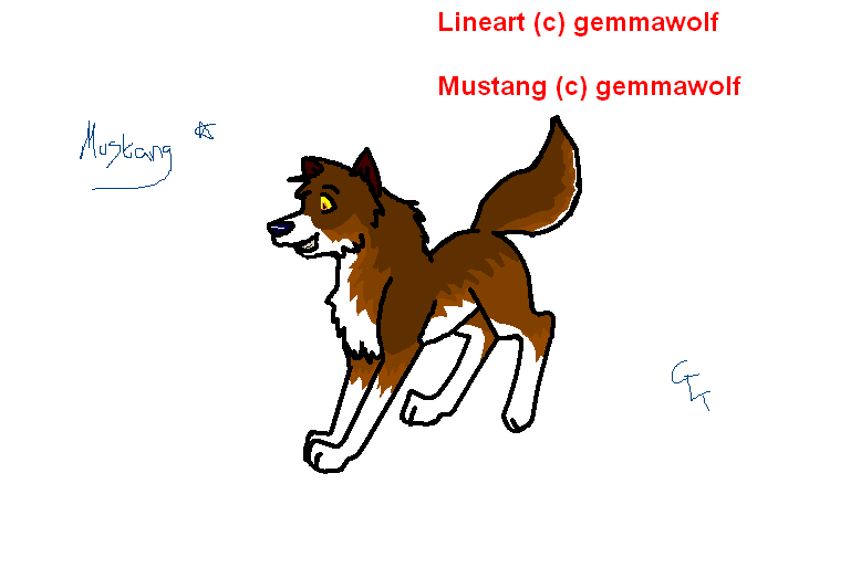 Mustang