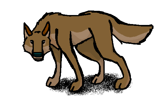Balto