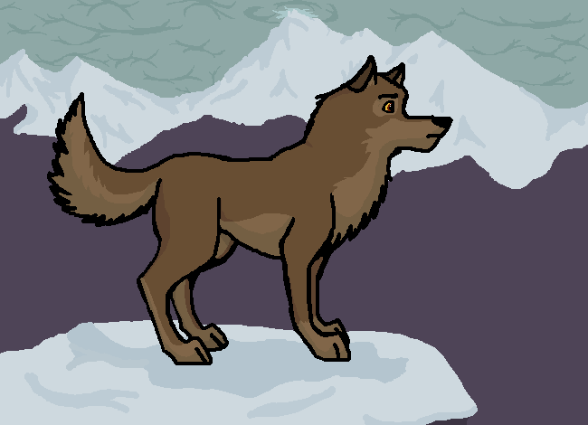 Across the Distance