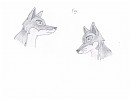 Fox - Animals of Farthing Wood