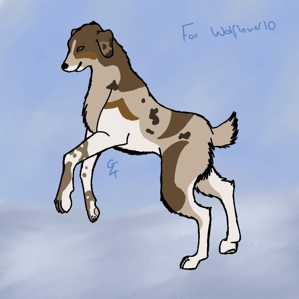 Wolflover10 - A Journey Faced Alone *Winner*