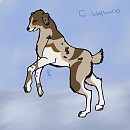 Wolflover10 - A Journey Faced Alone *Winner*