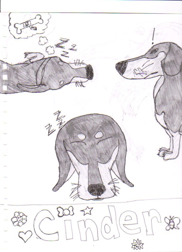 My dog Cinder