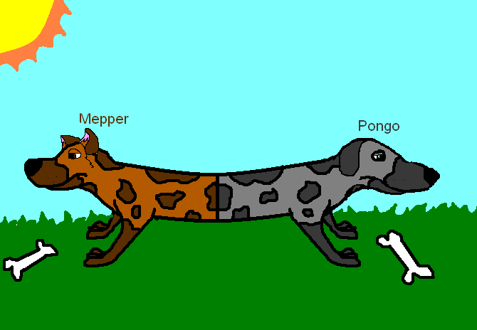 Mepper and Pongo