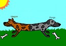 Mepper and Pongo