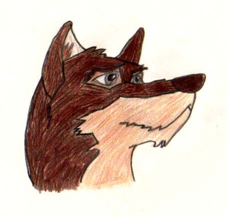 Balto scetch