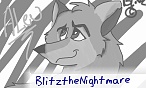 Blitzafer