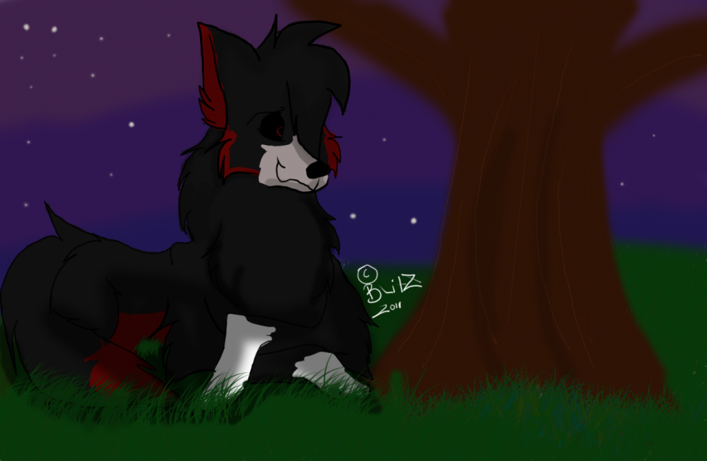 Peaceful  Evening