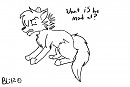 why is he mad/ what is he mad at?