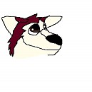 Kodi