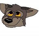 Balto as a pup