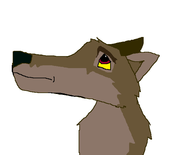 Balto