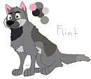 Flint reference