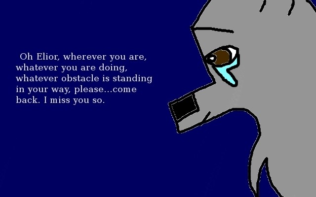 Please come back Elior.