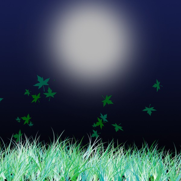 A full night sky... 