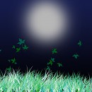 A full night sky... 