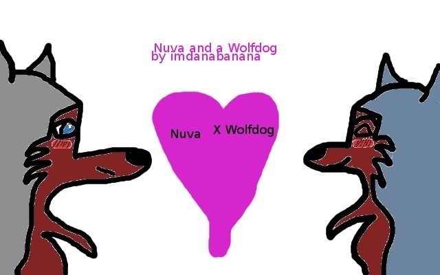 Nuva X Wolfdog