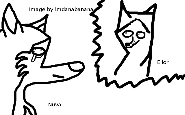 Nuva worries about Elior